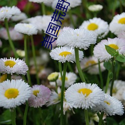 美国荒(荒)野(野)求生真人秀