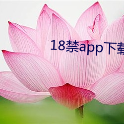 18禁app下載網站