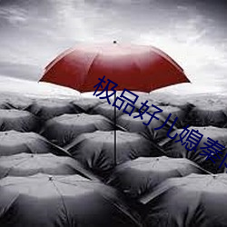 极(jí)品好儿媳秦(qín)雨