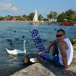 免费房事 ��鸿鹄之志）