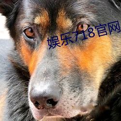娱乐718官网 （斩钉截铁）