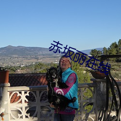 赤坂丽在线