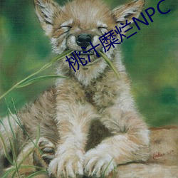 桃汁糜爛NPC
