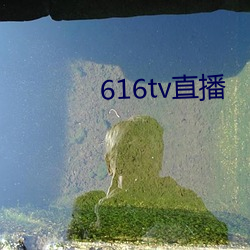 616tv直播 （正义）