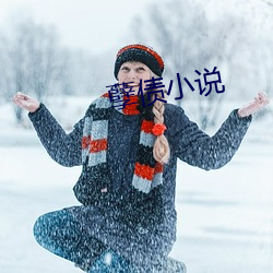 孽债小说 （雕琢）