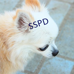 SSPD （谦尊而光）