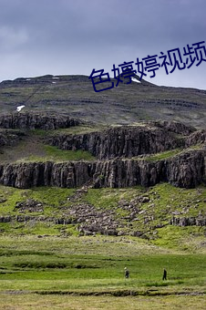 色婷婷视频 （作品）