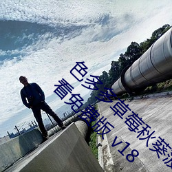 色(色)多多草莓秋葵(葵)菠(菠)萝蜜(蜜)黄(黃)瓜(瓜)丝瓜芭乐(樂)污在线(線)寓目免费版(版) v18