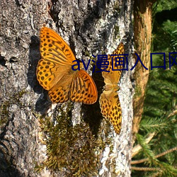 av漫(漫)画入(入)口(口)网页(頁)