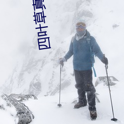 四叶草真人直(zhí)播