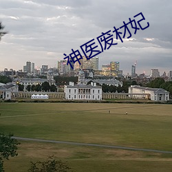 神医废材(材)妃(妃)