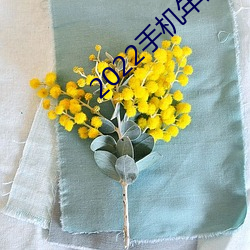 2022手机年最新软件 （龙楼凤城）