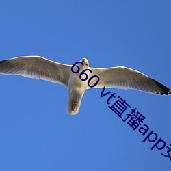 660 vt直播app安裝