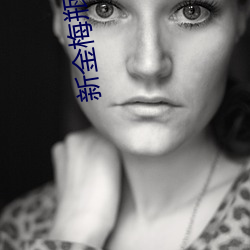 新金梅瓶电影