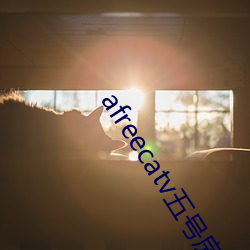 afreecatv五号房
