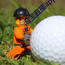 淘寶直播app下載