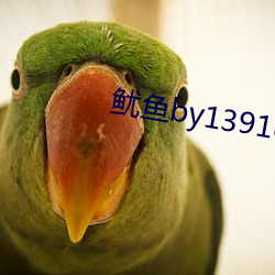鱿魚by1391com
