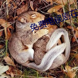 免费电视剧在线观看