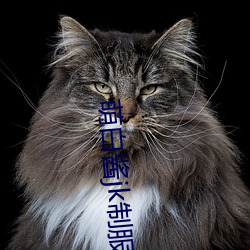 金年会(中国)官方网站