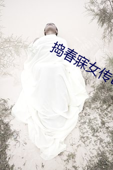 捣(搗)春寐女传(傳)txt