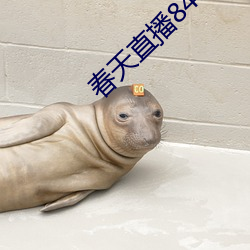 春天直播843tv大厅 （十亲九眷）