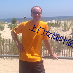 上(上)门(門)女婿叶辰免费阅读