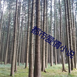 918博天堂·(中国)手机版客户端