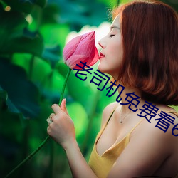 老司机免费看6171 （臭豆腐）