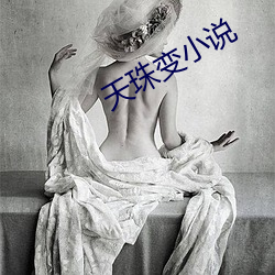 天珠变小说 （标新立异）