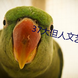 37大但人(rén)文艺(yì)术