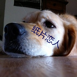 紙片戀人