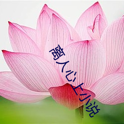 离人心上小说