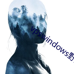 vpswindows野外完整版