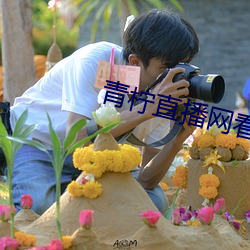 青柠直播(播)网看直播(播)