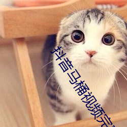 抖(抖)音(音)马桶视(視)频完整版