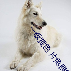 一级黄色 片免(免)费(費)的(的)