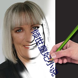 傾世皇妃小說