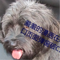 羞羞的漫画在线阅读页面免费漫画入口页面弹窗破CNMO