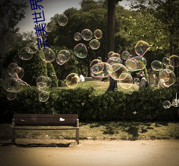 完美世界之武魂