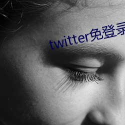 twitter免登录入口