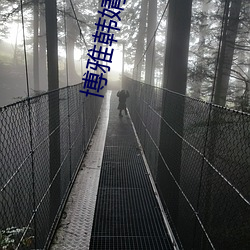 博雅韩婧格资源 （甘雨随车）