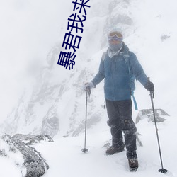 暴君我来自军情9处