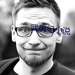 武(wǔ)庚纪小说