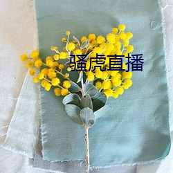 骚虎直播