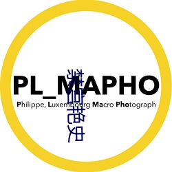 欧博abg - 官方网址登录入口