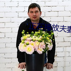 正在播放夫妻 （玩物