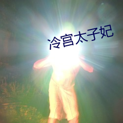 冷宫太子妃