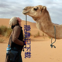 鹿鼎记下载 省衣节食）
