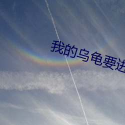我的乌龟要进入你的扇贝视