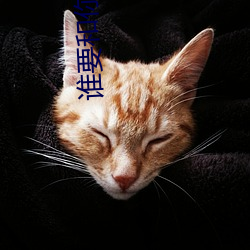 谁要和你复(fù)婚